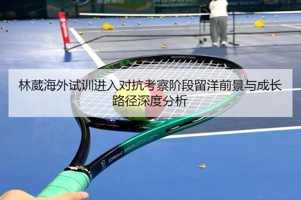 林葳海外试训进入对抗考察阶段留洋前景与成长路径深度分析