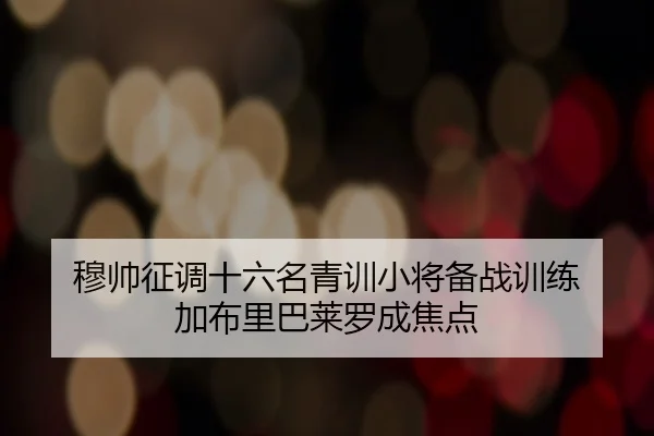 穆帅征调十六名青训小将备战训练 加布里巴莱罗成焦点